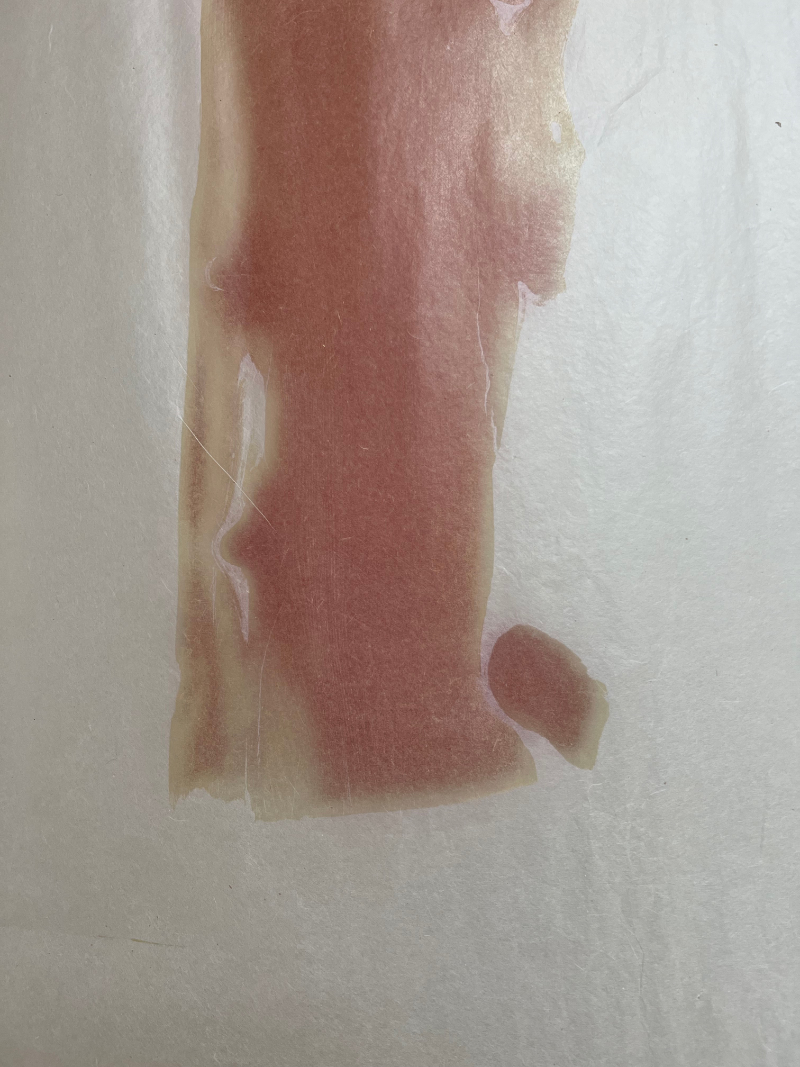 layer skin.jpg